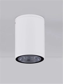 Spot LED aplicat de exterior IP65 LUMINA D-6,5cm alb
