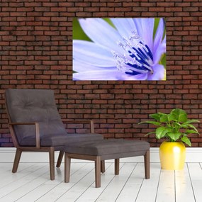 Tablou - Floare (90x60 cm)