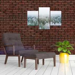 Tablou - Crestele munțillor înzăpezite (90x60 cm)