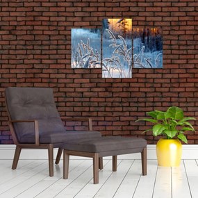 Tablou - Pajiște de iarnă (90x60 cm)