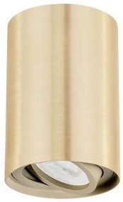 Spot aplicat tavan directionabil San auriu