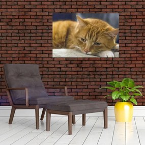 Tablou cu pisica (90x60 cm)