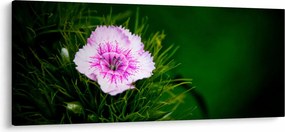 Tablou cu floare roz (120x50 cm)
