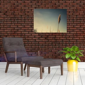 Tablou - Iarba (70x50 cm)