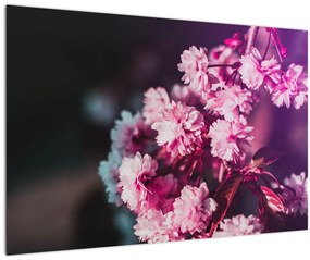 Tablou cu florile copacilor (90x60 cm)