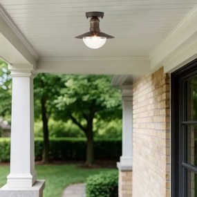 Plafonieră pentru exterior MOLDE 1xE27/60W IP44 bronz/patină - Brilagi