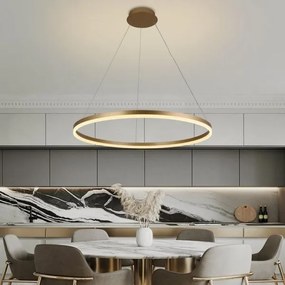 Lustră LED dimabilă pe cablu LED/55W/230V 3000-6500K + telecomandă