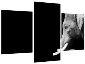 Tablou - Elefant (90x60 cm)