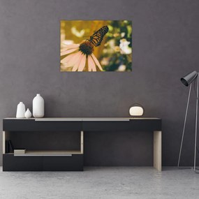 Tablou pe sticlă cu fluture pe floare (70x50 cm)