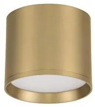 Spot LED aplicat diametru 10cm ZIAZA auriu, NVL-9695166