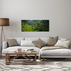 Tablou cu terasele cu orez Tegalalang, Bali (120x50 cm)