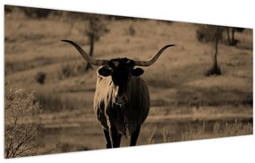 Tablou - Vacă din Texas (120x50 cm)