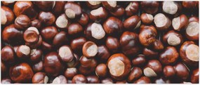 Tablou - Castane coapte (120x50 cm)