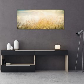 Tablou - Câmp toamna (120x50 cm)