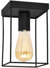 Plafonieră FINN 1xE27/15W/230V negru