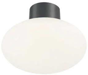 Ideal Lux - Plafonier exterior CLIO 1xE27/42W/230V IP44 antracit
