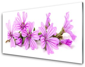 Tablouri acrilice Flori roz Floral