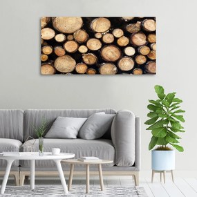 Tablou canvas Busteni