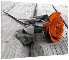 Tablou cu trandafirul portocaliu (70x50 cm), în 40 de alte dimensiuni noi
