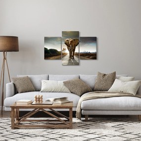 Tablou cu elefant (90x60 cm)