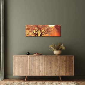 Tablou cu razele lui Dumnezeu (cu ceas) (90x30 cm)