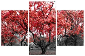 Tablou - Copacii roșii, Central Park, New York (90x60 cm)