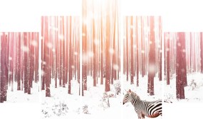 Tablou - Zebra în pădurea înzăpezită (150x105 cm)