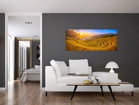Tablou - Terasele de orez din Vietnam (120x50 cm)