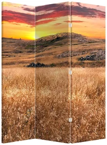 Paravan - Câmp (126x170 cm)