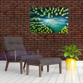 Tablou - O pădure învăluită în ceață (90x60 cm)