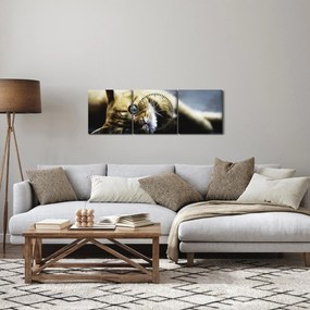 Tablou cu pisica (cu ceas) (90x30 cm)