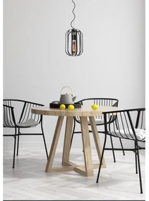 Lustră pe cablu FERN 1xE27/60W/230V Lucide 25409/01/30