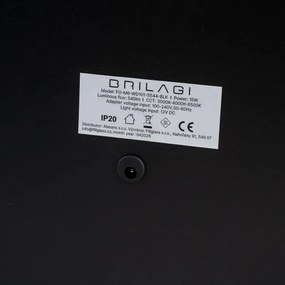 Brilagi -LED Oglindă de machiaj reglabilă CALIFORNIA LED/22W/230V 58x43 cm neagră