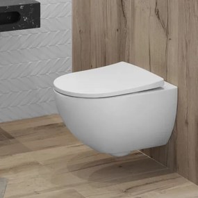 Vas wc suspendat Geberit Acanto Rimfree