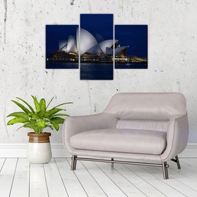 Tabloul Sydney nocturn (90x60 cm)