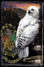 Poster de artă Harry Potter - Hedwig, (26.7 x 40 cm)
