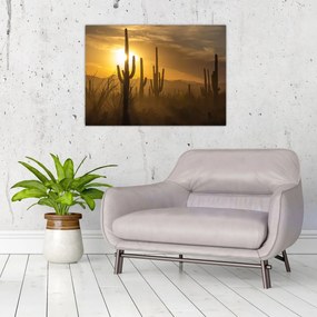 Tablou pe sticlă - Cactuși Saguaro (70x50 cm)