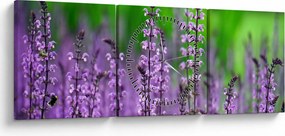 Tablou cu flori de luncă violete (cu ceas) (90x30 cm)