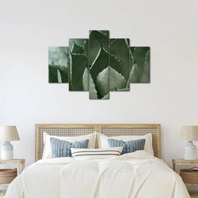 Tablou - Agave verde (150x105 cm)