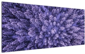 Tablou cu copacii înzăpeziți (120x50 cm)