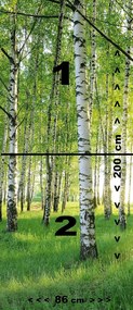 Fototapeta pentru usa BIRCH GROVE 86x200 cm