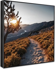 Tablou 50x50 cm Mountain Path – knor