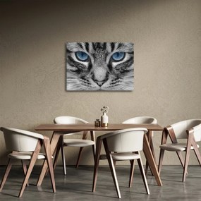 Tablou cu pisica (70x50 cm)