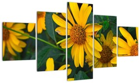 Tablou cu flori galbene (125x70 cm), în 40 de alte dimensiuni noi