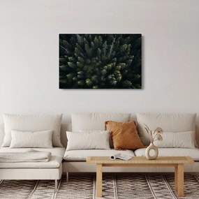 Tablou - Pădure (90x60 cm)
