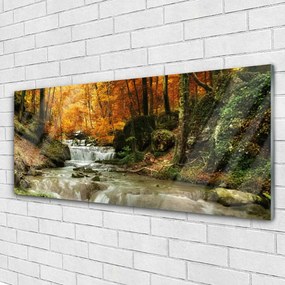 Tablou pe sticla Cascada Natural Pădurea Verde Brun Galben