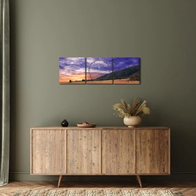 Tablou cu lunca cu lavandă (cu ceas) (90x30 cm)