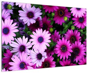 Tablou - Flori (90x60 cm)