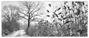 Tablou - Câmpuri în timpul iernii (120x50 cm)