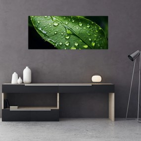 Tablou - Frunză după ploaie (120x50 cm)